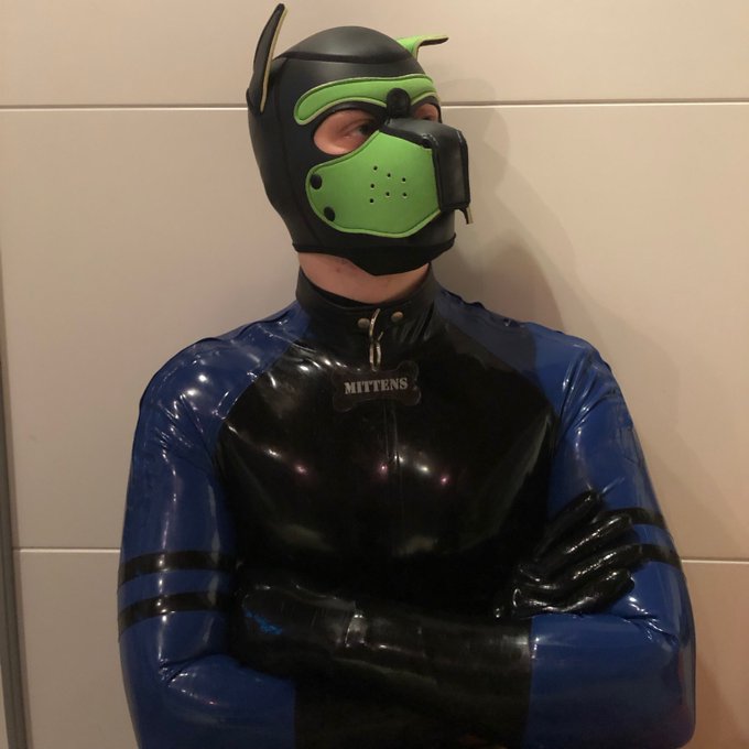Arf arf *wags* ??? #rubber #latex #pup #petplay #pupplay #wags #green #blue #black #mrsleather #latexcatfish