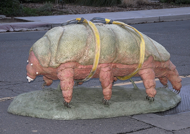 keatleygarvey's tweet photo. An amazing sculpture of a #tardigrade, aka water bear, installed at Bohart Museum of Entomology, #ucdavis. The work of #Solomon Basshoff, the concrete sculpture weighs 2,112 pounds and is 6 feet long and nearly 3 feet high. A cuddly campus landmark!  https://t.co/0WdYR5KYR7 https://t.co/xgI3ynRY9O