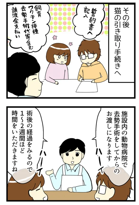 猫探し編⑨⑩-猫の名づけ問題 見た目に寄せるもんなのか・・・? #漫画が読めるハッシュタグ #保護猫 #猫のいる暮らし 