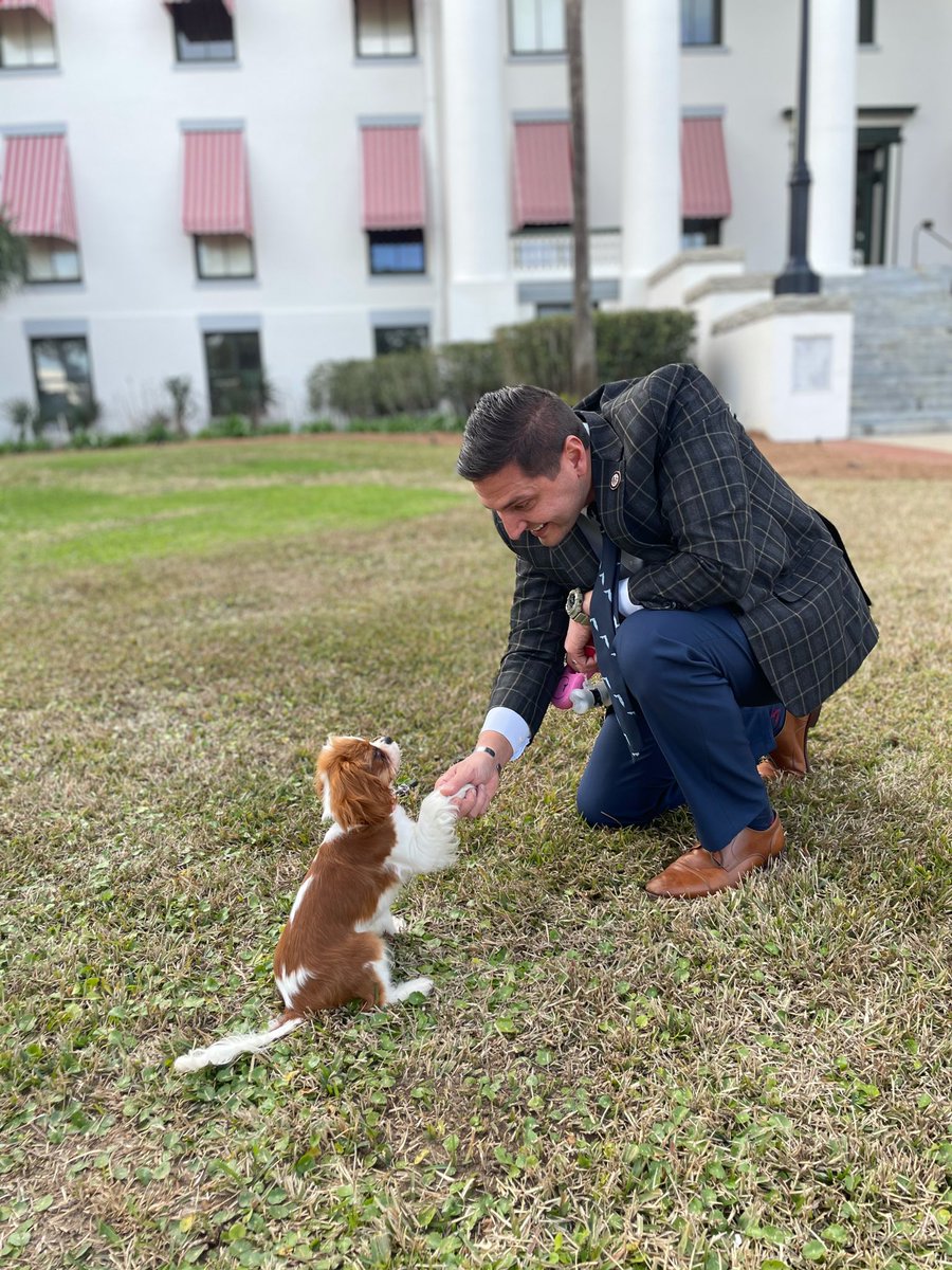 CavalierCaucus's tweet photo. Some behind-the-scenes photos from our paw-some photoshoot! 🐾🐶 #PawpularPuppy #LegallyBriar #BriPartisan https://t.co/zkZKPod323
