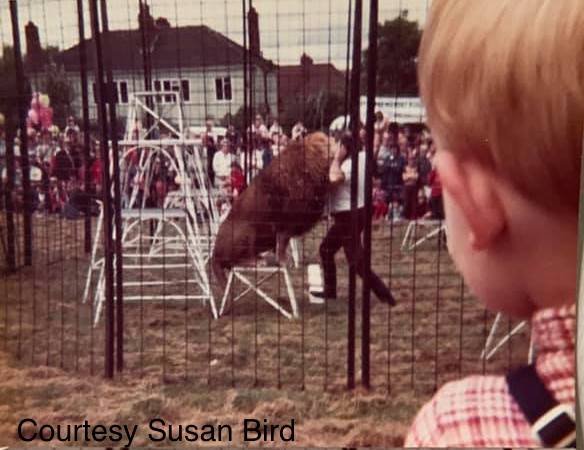 B31Voices's tweet photo. Susan Bird: "These pictures are from rubery carnival 1981, can you believe they had lions "

Do you remember this? 😁 

#SWBrumLocalHistory #Rubery https://t.co/zCR2eSlIQK