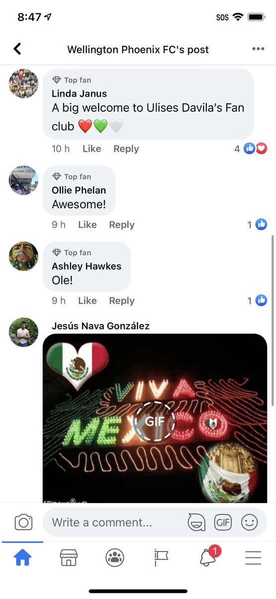 Pero una vez que los australianos entendieron lo que pasaba se unieron al ambiente. Sus reacciones fueron generalmente positivas. Se acercaban y tomaban fotos con nosotros y terminaron sumándose a los gritos y aplausos con todo y Ola incluida.