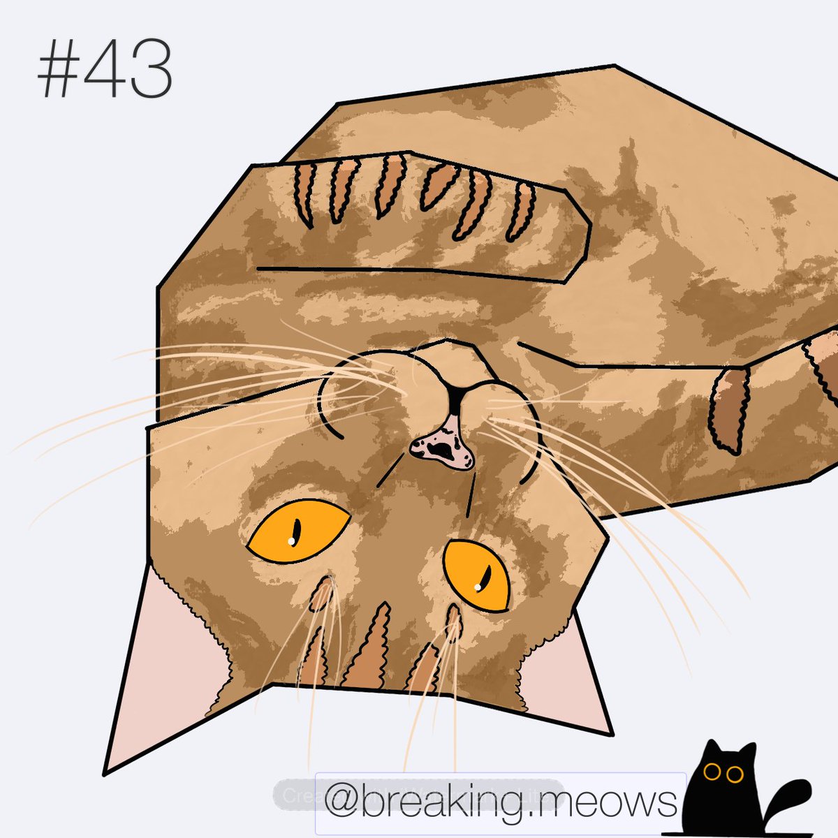 BreakingMeows's tweet image. Day #43: Orange cat with freckles
📷: worstevernightmare on tumblr, thanks for the request 🙏
Cat drawing request instructions in bio! 
#cat #catdrawing #cats #drawing #breakingmeows #ArtistOnTwitter #CatsOnTwitter #catsofinstagram #CatsOfTwitter #catstagram #catart