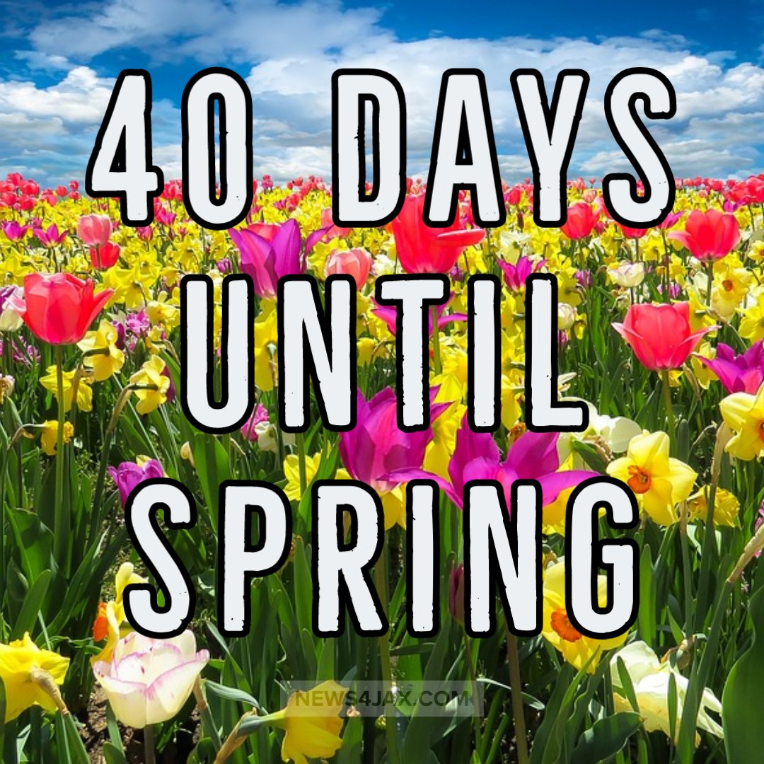 wjxt4's tweet image. OH MY... Spring starts in just 40 days! 🌻 #BringSpring