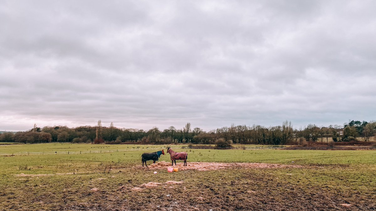 22. gün çekimlerindenSefton Park (Liverpool)