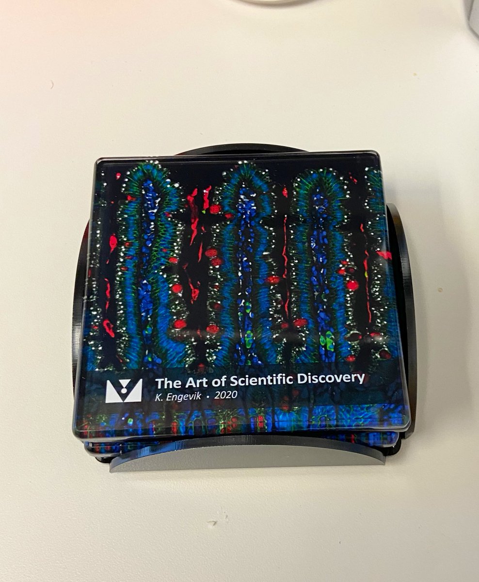 So excited to start using these coasters of my #immunofluorecence, thank you @VectorLabsUS! 
#bioart #mucusmatters #followyourgut #Science #Sciart @HyserLab