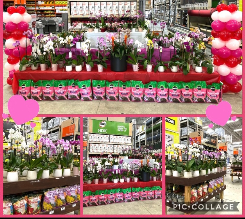 Tony manso (@tonymanso7) on Twitter photo Store 6306 playing Cupid just in Time for Valentines Day. Great job to Julio DS making it happen. Thank you Veronica for the decor. Looks amazing!! <a href="/MDR112883/">Michael Rivera</a> <a href="/SteveWi46147373/">Steve Williams</a> <a href="/THDgeorge/">Thd george</a> <a href="/6306HomeDepot/">Pinecrest Home Depot</a> Store 6306 playing Cupid just in Time for Valentines Day. Great job to Julio DS making it happen. Thank you Veronica for the decor. Looks amazing!! <a href="/MDR112883/">Michael Rivera</a> <a href="/SteveWi46147373/">Steve Williams</a> <a href="/THDgeorge/">Thd george</a> <a href="/6306HomeDepot/">Pinecrest Home Depot</a>
