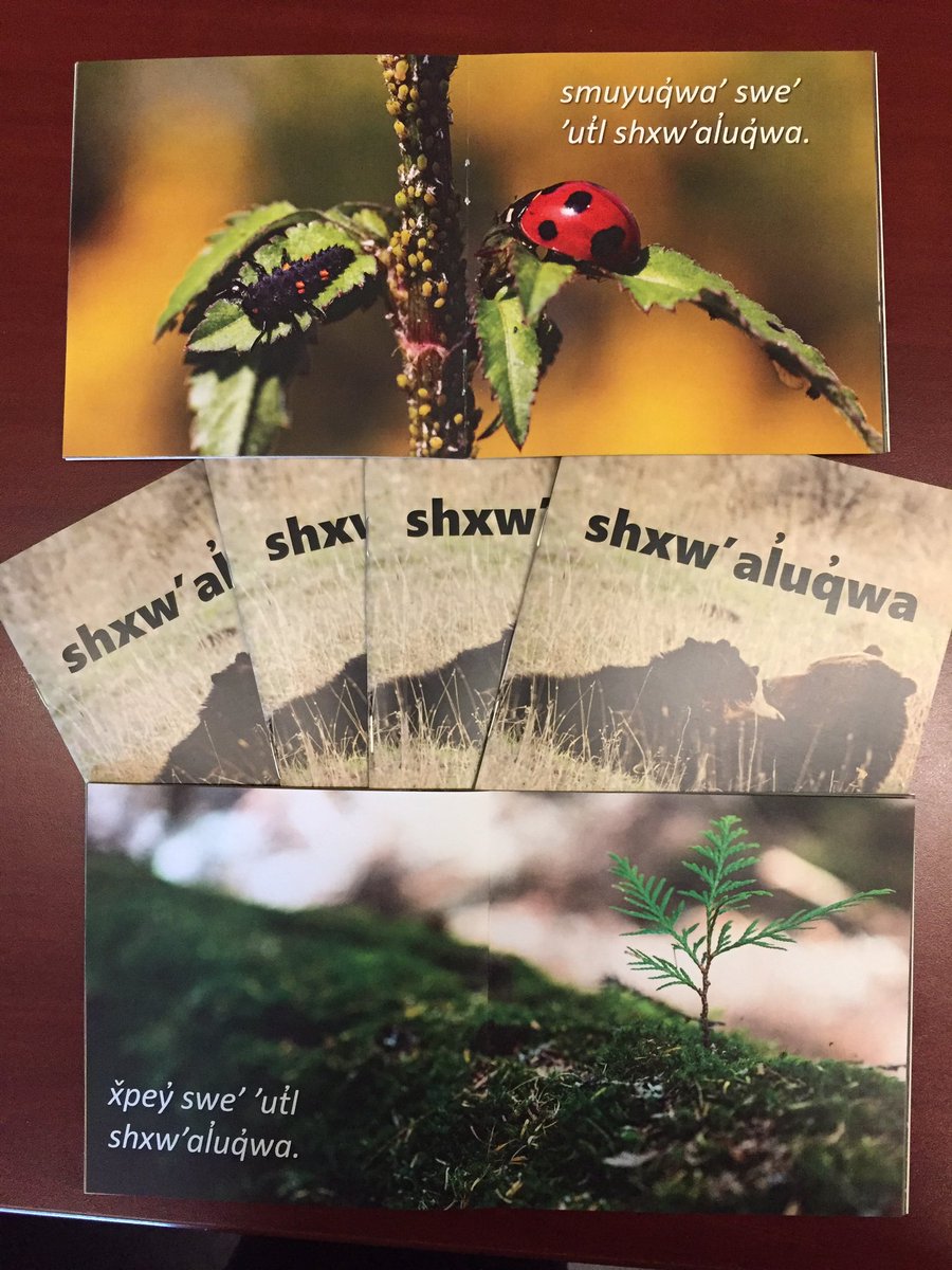 Just arrived!  New hul’q’umi’num readers.  Shxw’aluqwa means family.<a href="/sd68bc/">School District 68 (Nanaimo-Ladysmith)</a> <a href="/DeniseAugustin1/">Denise Augustine</a> <a href="/ssaywell/">Scott Saywell</a>