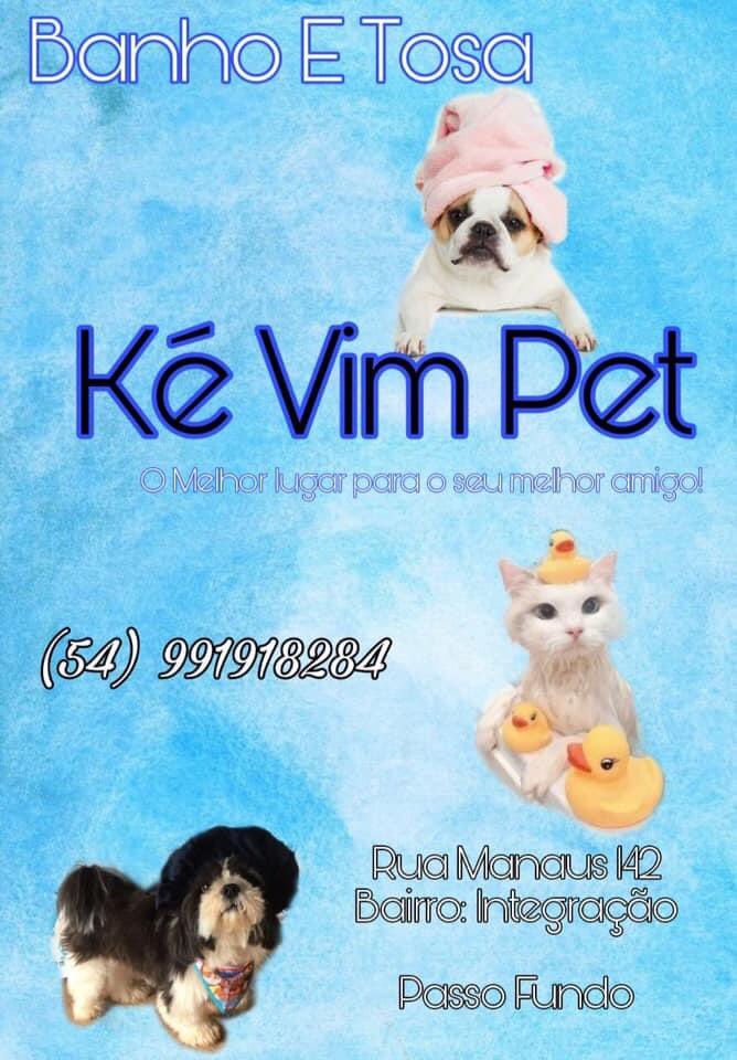 Kettysoaress's tweet photo. Boa noite gente! Se puderem me ajudem a divulgar o Pet Shop da minha irmã, sigam no Instagram @Ke_vim_pet! Ficarei muito agradecida! Que Deus abençoe demais vocês ❤️❤️❤️
Obs: Link do Instagram está no meu perfil! https://t.co/myFn7OIwqk