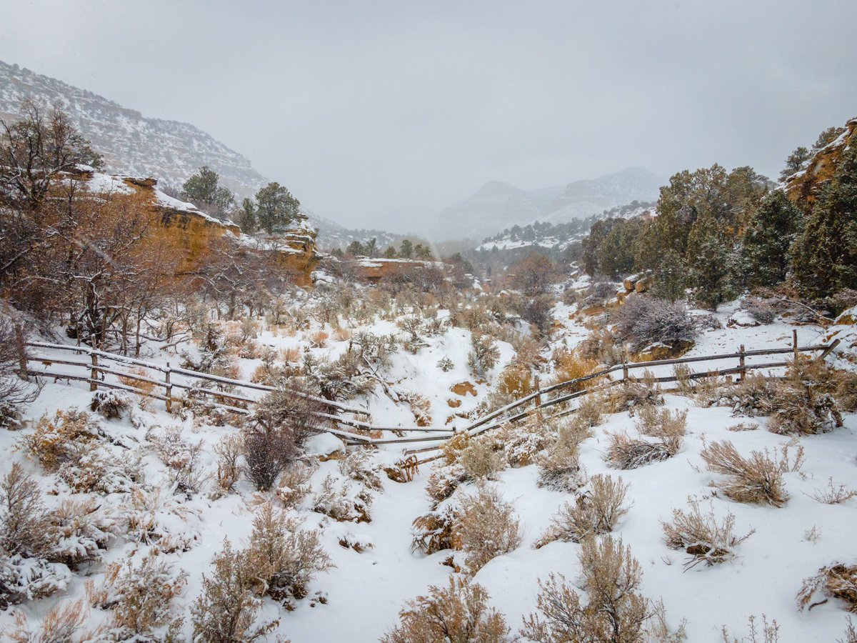 GraysonSavio's tweet photo. Couple snaps from the snowy mountains ⛄️ https://t.co/m6z36LZzHP