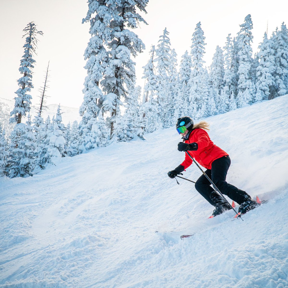 AZSnowbowl's tweet image. We’ve received 112” of snow so far this season, and even more is on the way! @findopensnow is calling for up to 12” through next week &amp;amp; we’re all smiles in anticipation. 

Midweek tickets are still available next week starting at $69 — buy early to save 👉 bit.ly/2YVOcnd