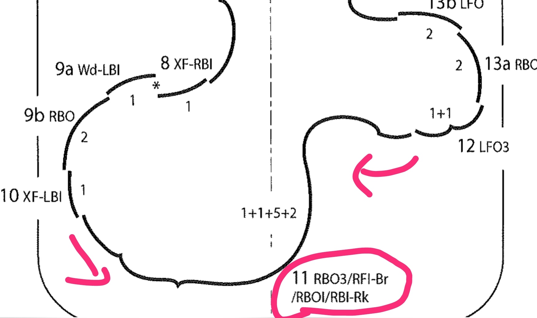 こっこ Rt ひえ 来シーズンのパターンダンス ミッドナイトブルース 男性のキーポイントkp3 赤の矢印の範囲 ここの部分がぜーんぶ右脚ワンフットで もちろんそれ以外のフリーレッグやパートナーとの位置やホールドとかも決められたものをこなしながら