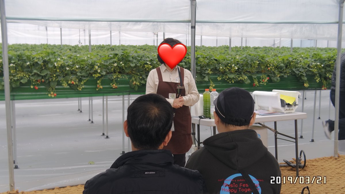 CWCIL_SEOUL's tweet image. 2019년에 진행한 공감체험(딸기농장) 사진 입니다~