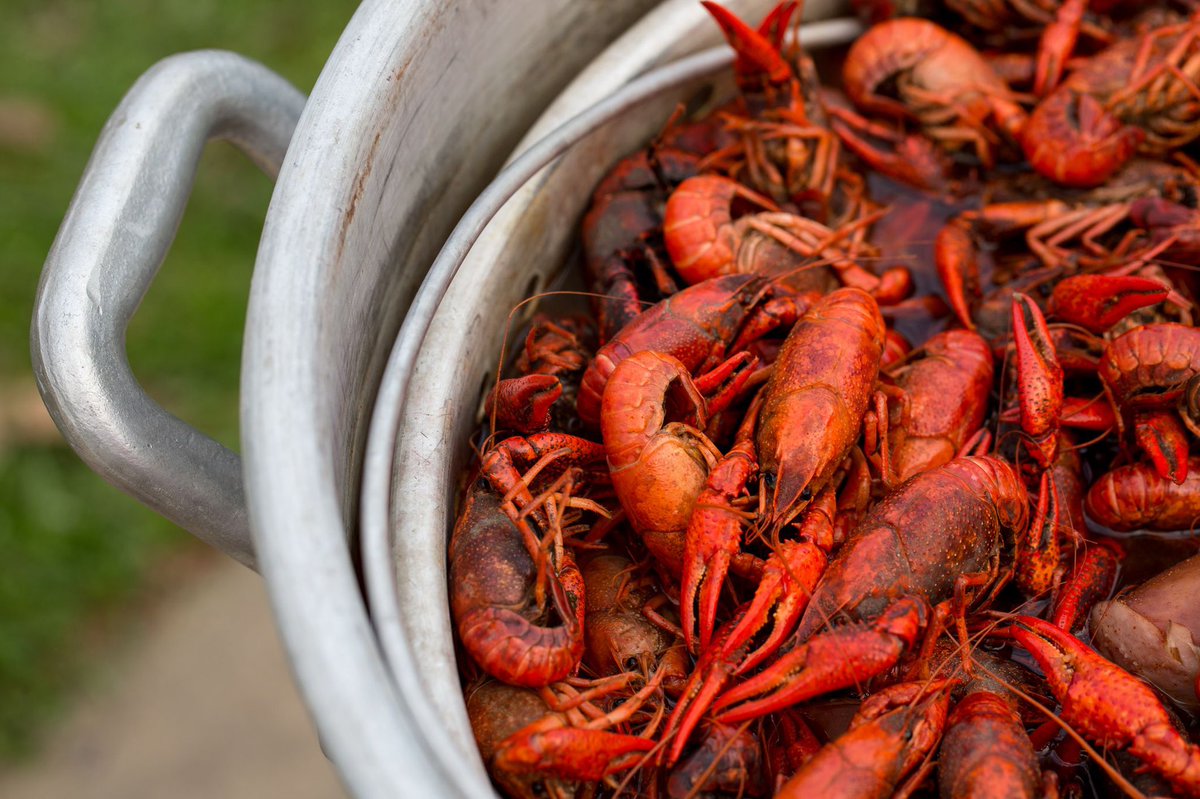 FACofMilton's tweet photo. 🦞GUESS WHAT TIME IT IS?!🦞
📅 FAC Crawfish Season begins Saturday, MARCH 6th at 9:30am! 
➕ As usual, we will also have corn, sausage, and potatoes. 
💰 Prices will be available closer to the 6th. 
🤗 We look forward to seeing you all soon!! https://t.co/xNexyFIVrZ