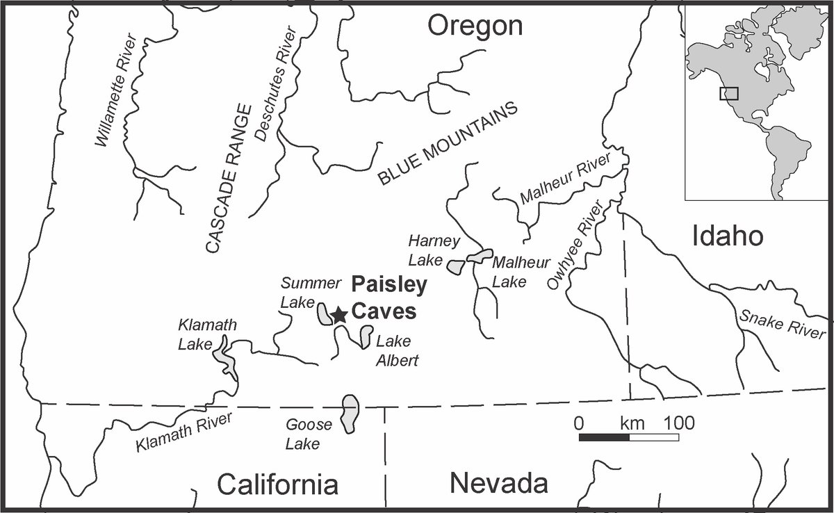 We set out to test ideas about hunter-gatherer diets in the Great Basin during the Younger Dryas (12,900 to 11,700 years ago) and early Holocene (11,700 to 8,900 years ago). These sites fall in the Western Stemmed Tradition (WST) 'cause they have large stemmed stone points 2/