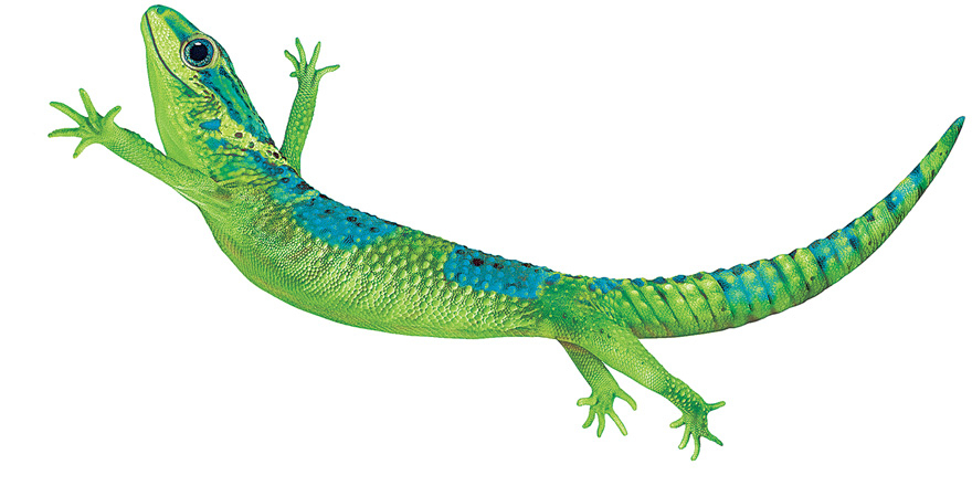 suew_4's tweet image. Big news – TELUS International made its debut on both the New York Stock Exchange and the Toronto Stock Exchange today! Congratulations to my entire @TELUS family on the success of TIXT. 👍