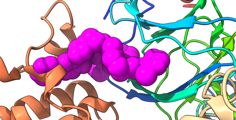 dr_mroy's tweet photo. Please RT: Are you passionate about targeted protein degradation? Apply + join our new team @WEHI_research: 2x chemists PhDs (https://t.co/QgT5un0tC7), Cell Biologist/Proteomics PhD (https://t.co/BKzLuySLbg), Structural Biologist RA (https://t.co/KhruHPH91E). Closing 26 Feb 2021. https://t.co/egSi9fmmky