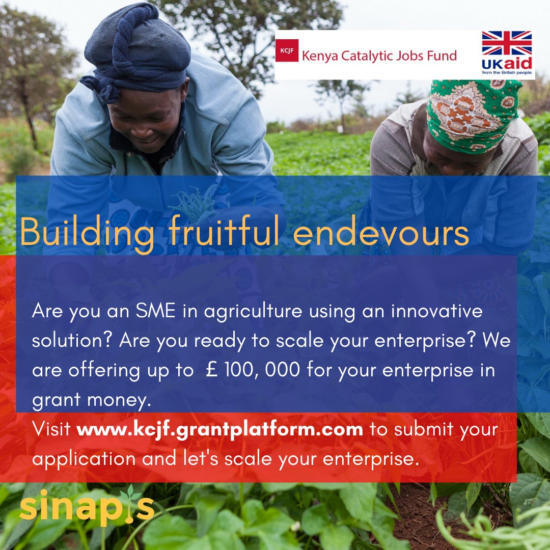 Kenya Catalytic Jobs Fund tweet media