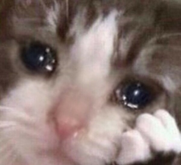 CocoCulpa's tweet photo. BUSCO A ALGUIEN QUE ME MANDE MENSAJES DICIÉNDOME LO GORDA Y ASQUEROSA QUE SOY es para motivarme a dejar de comer por favor , sola no puedo, ustedes me entienden, quiero ser feliz por favor :"C #EDtwt #thinsp0 #sweatspo #sweetsp0 #fatsp0 #th1nsp0 #ana #fatspo #thinspo #edtwt #ugw https://t.co/o1uY9LBAR6