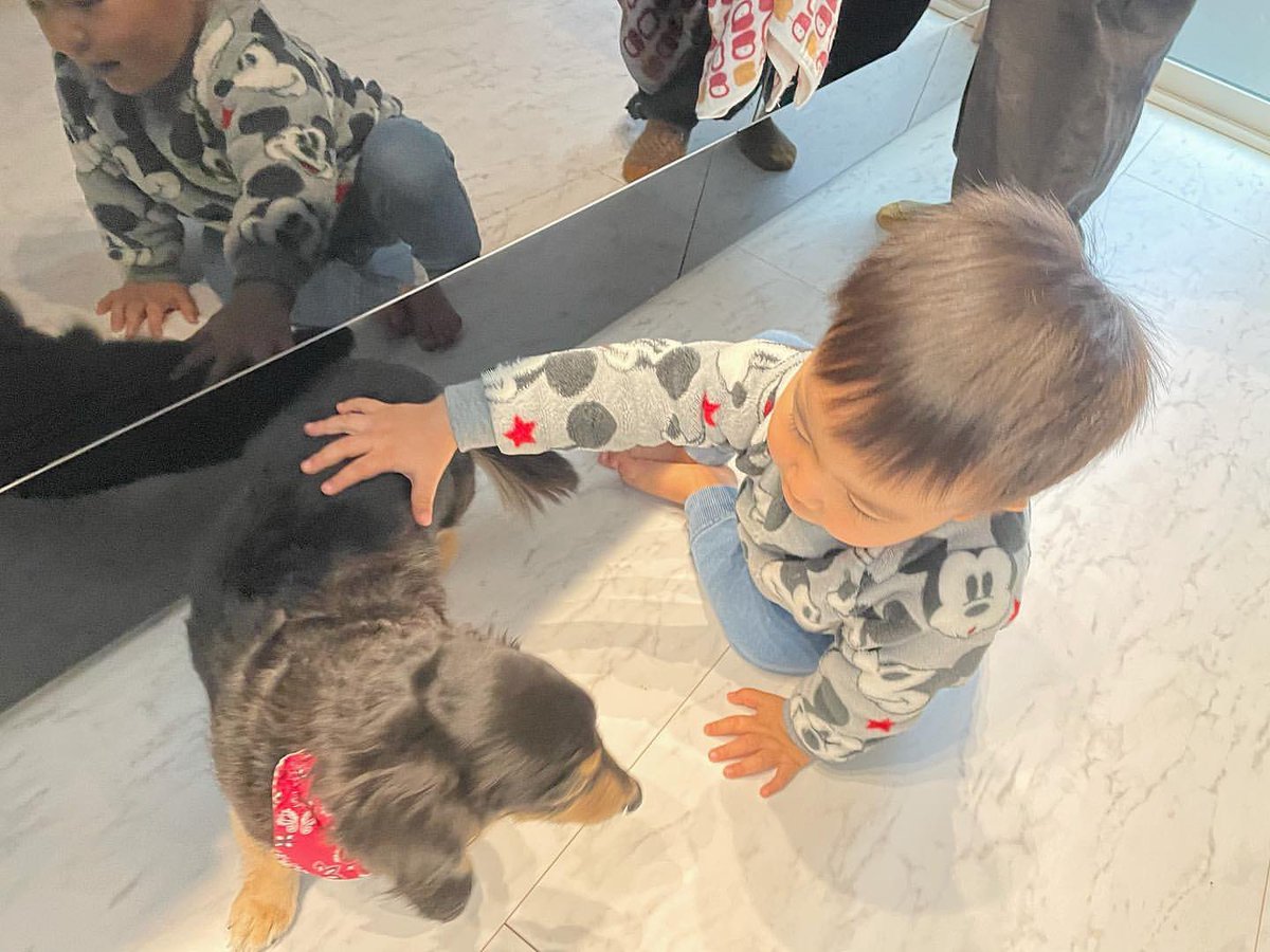 親戚 Twitter Search