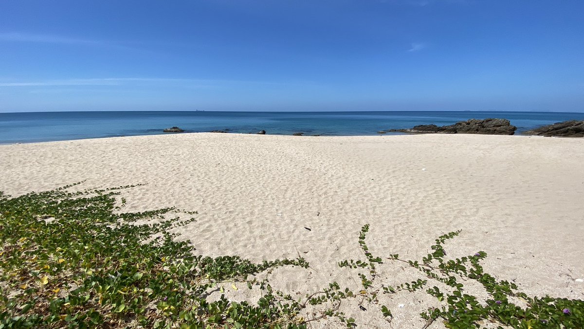 GlobeRovers's tweet photo. The beaches are all mine. High season and not a tourist in sight... how lovely #emptybeaches #kohlanta https://t.co/Xj9uLcQg98