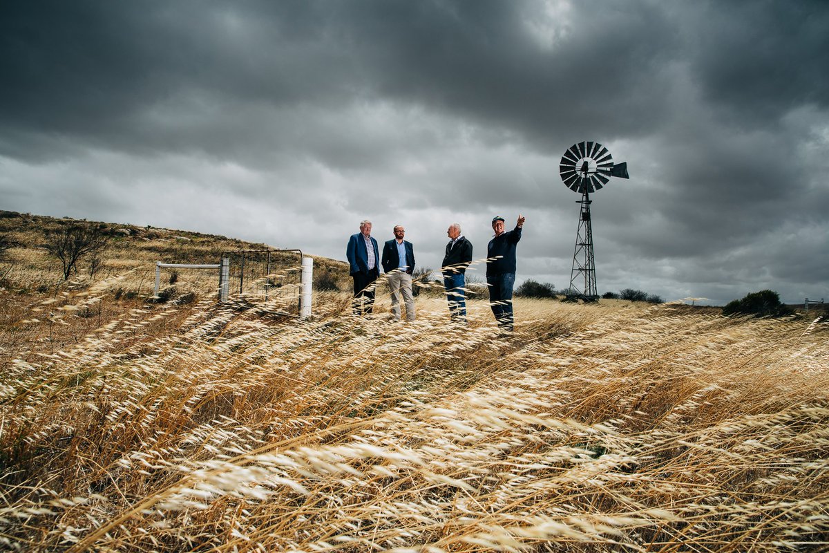 portalis_SA's tweet photo. EPCBH ownership in the Cape Hardy port project will provide substantial economic benefits to growers through member discounts for each tonne of grain delivered and distributions from the project. https://t.co/GxGk3Ysr4e