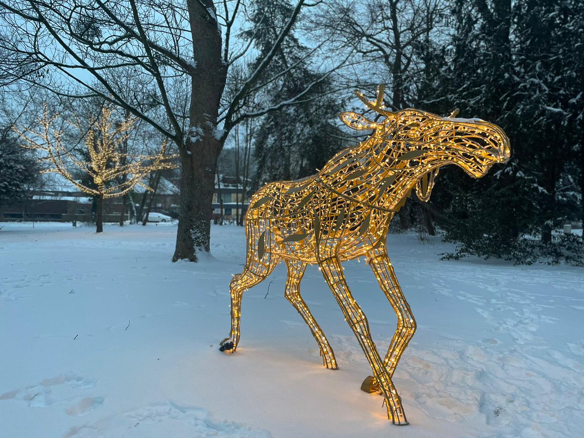 HannMuenden's tweet photo. #LichterzauberinHannMünden 
Noch bis Ende Februar könnt Ihr die überlebensgroßen Lichtskulpturen in #hannmünden bestaunen. Ihr findet sie in der Altstadt und in den Wallanalgen. Sie leuchten täglich von 16 - 9 Uhr.
#erlebnisregionhannmünden #meinniedersachsen https://t.co/vfqCCH8Gif