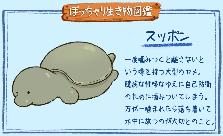 ぽっちゃり昆虫図鑑 略してぽちゃこん ぽっちゃり生き物図鑑 No 033 スッポン ぽっちゃり体型の生き物を毎日描いています 今日は大型のカメ スッポンです 生き物 絵 イラスト Illustration スッポン 1日1絵 一日一絵 絵描きさんと繫