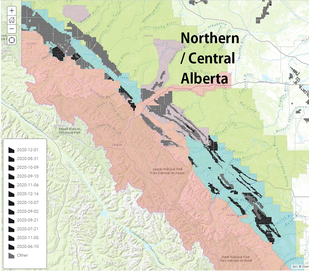 Companies also started buying, updating or exercising coal leases (many held lease *applications* for decades) throughout Category 2 lands after the 1976 Coal Policy was rescinded.The dark black areas are leases dated after June 1, 2020. Grey = leases from prior to that date: