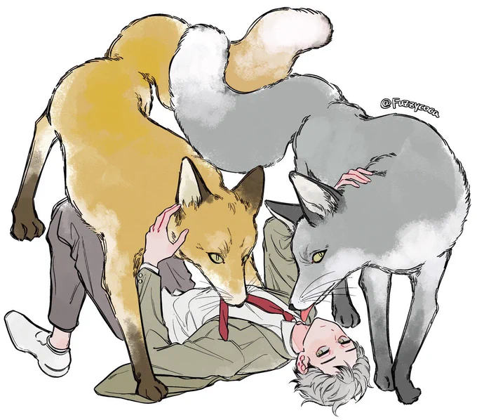 狐狸们 