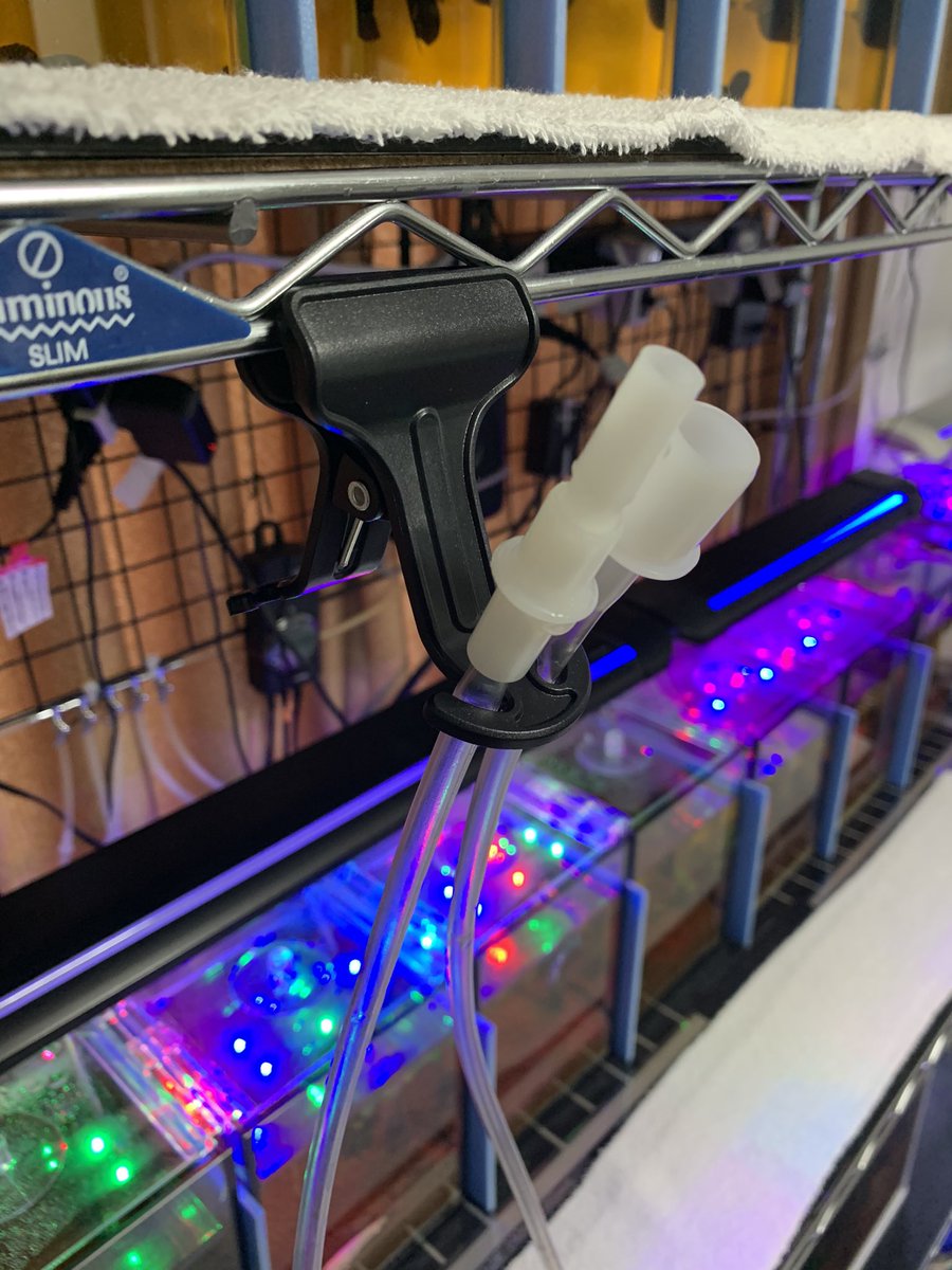プロホース プロホース