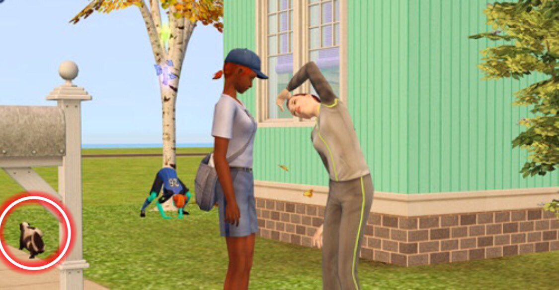 Sims2Skunk's tweet image. OH MY GOD IS THAT MEGAN THEE STALLION