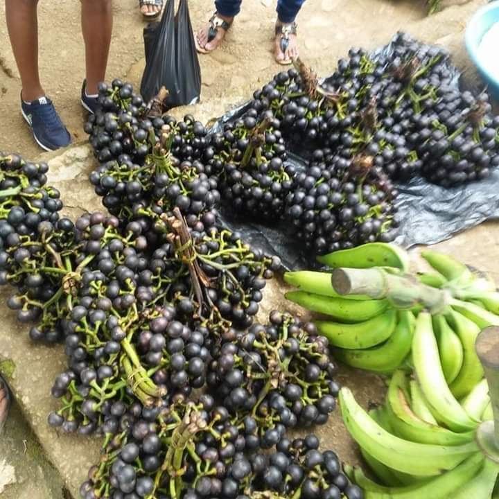 JAMMESJARAMILL1's tweet photo. Paraiso exotico #PUTUMAYOESPASION💖 https://t.co/dRRzutxwRT