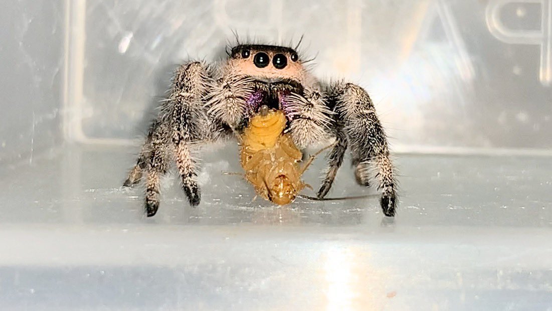 EtwLijYVkAIUUXd.jpg?format=jpg