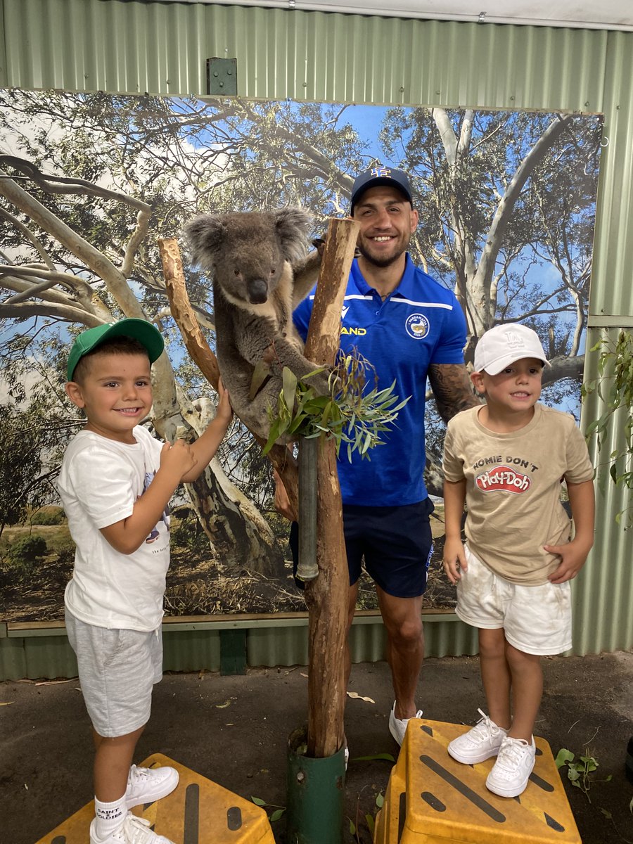 Parramatta Eels tweet media