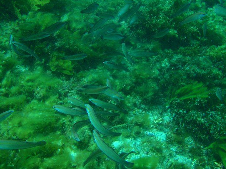 Dr Sharyn Hickey tweet media