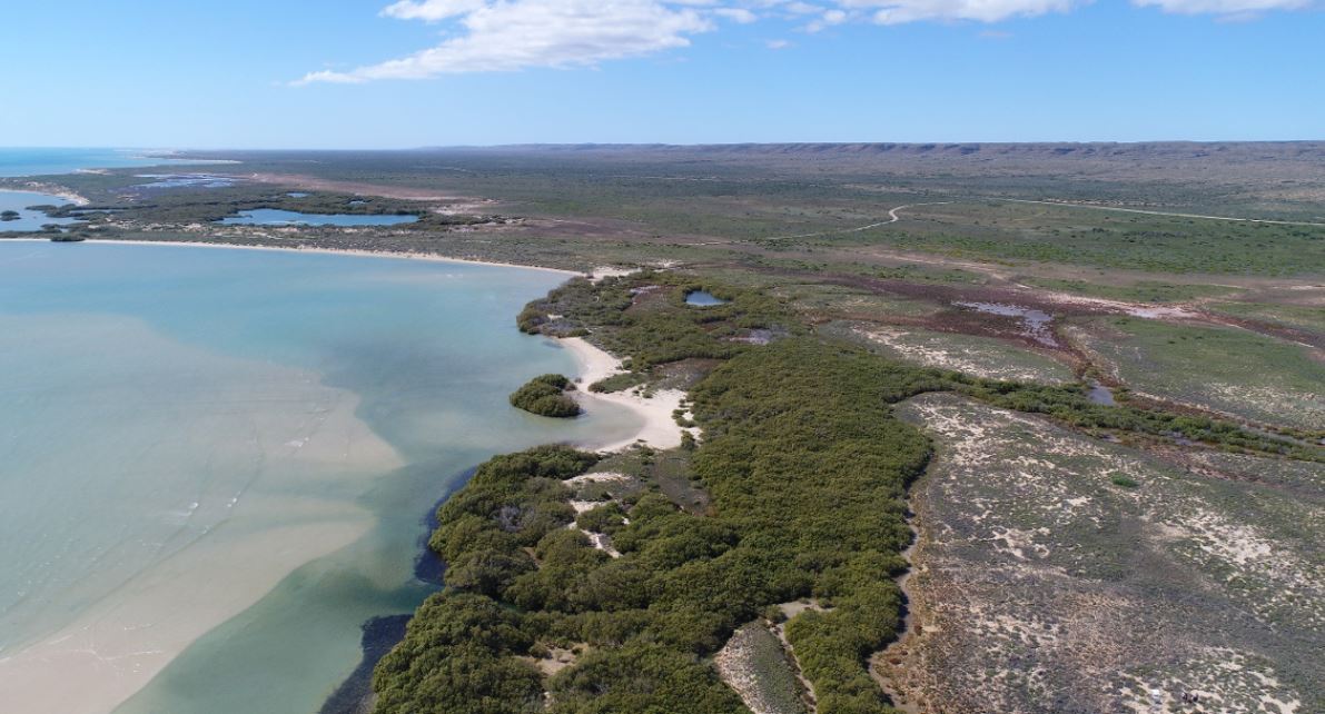 Dr Sharyn Hickey tweet media