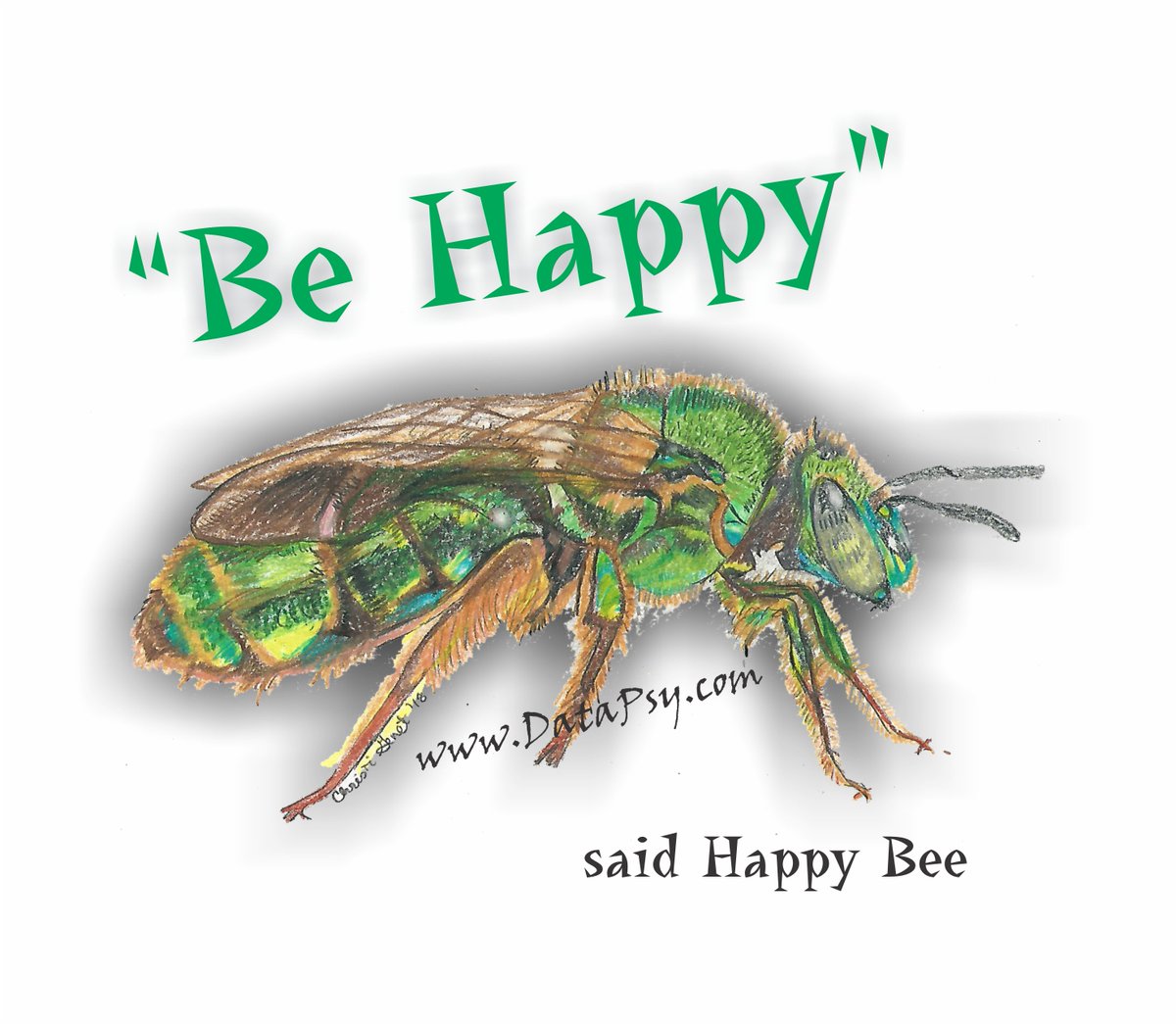 DataPsyInc's tweet image. What&apos;s the ratio on your feed between posts you create from your PERSONAL life experience vs. sharing random people&apos;s thoughts and feelings?  #BeHappy  #BeAuthentic #BeReal
