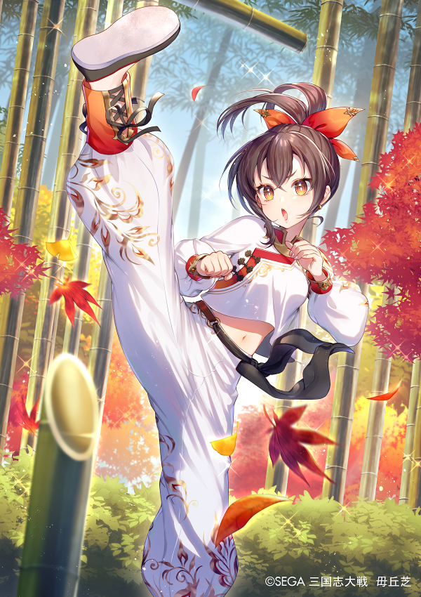 🍁本日実装🍁 『三国志大戦』Ver3.5.0にて 毋丘芝（CV：水瀬いのりさん