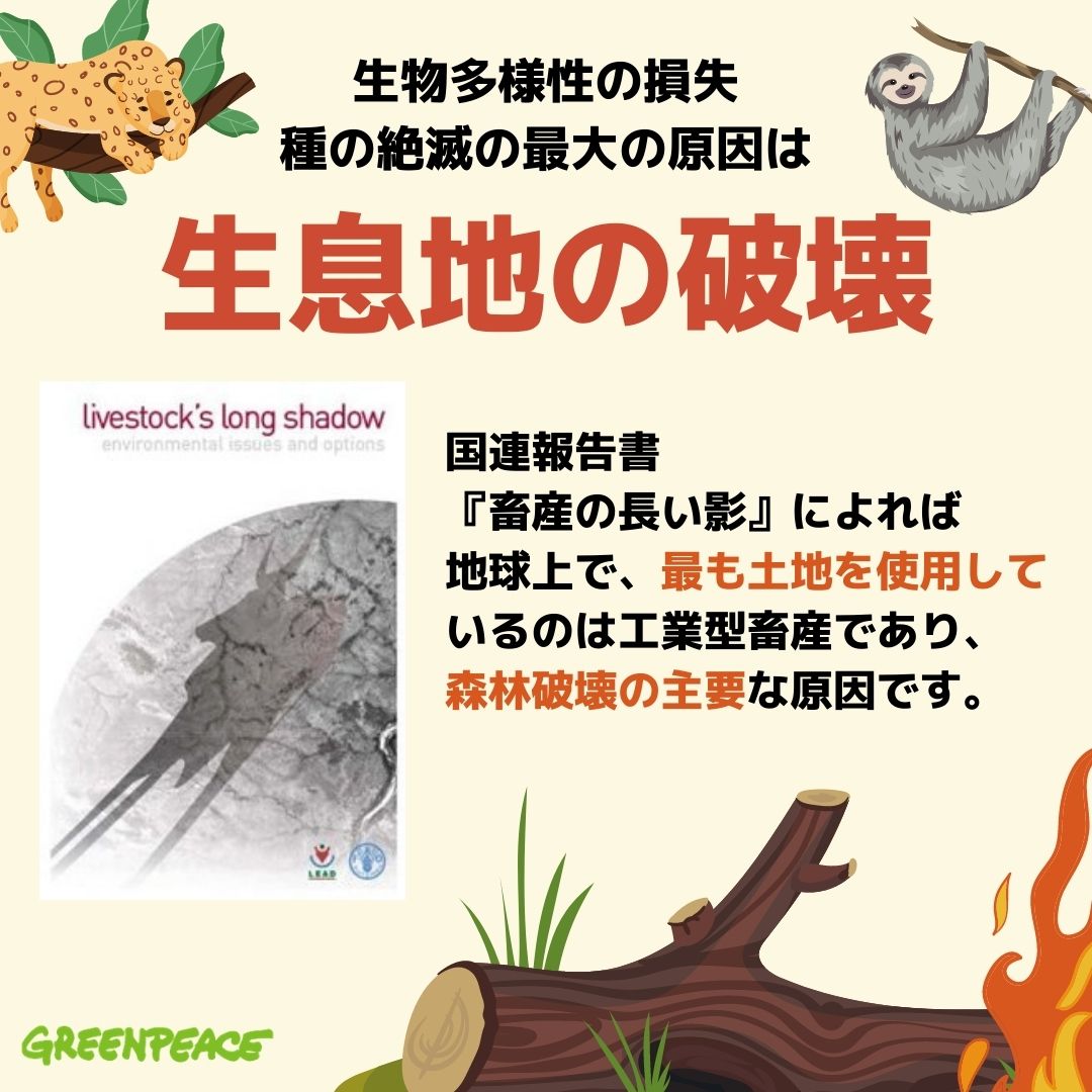 グリーンピース やめよう 過密な工業型畜産を だけど伝統的な畜産でも地球と人類には脅威 この道 明日はもっと輝いてる 楽天ブログ
