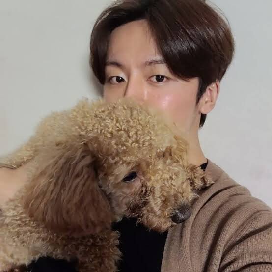 noonavaa's tweet photo. Happy birthday little fluffy jamong🤩❤
#HappyJamongDay @SF9official https://t.co/F7prz979wq