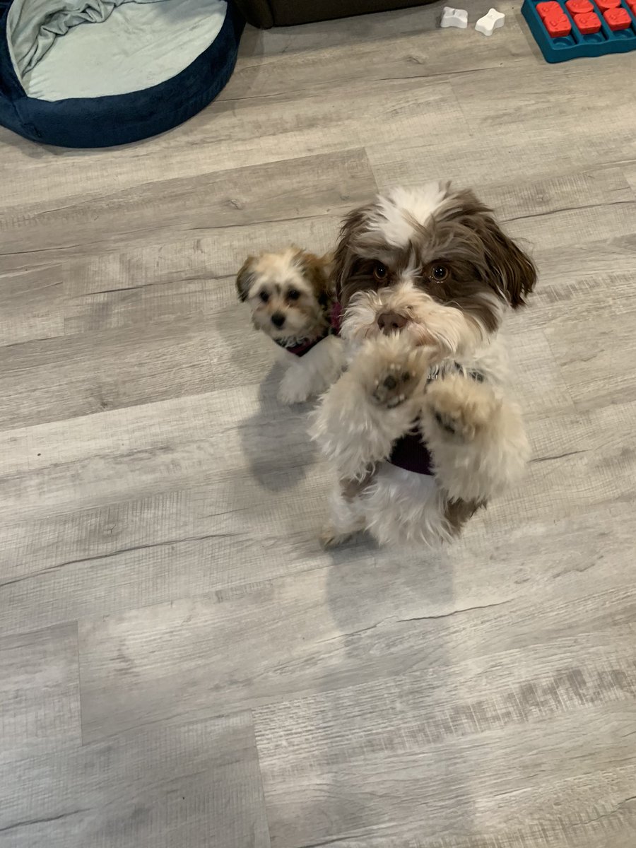 hie    lung  thyme   no    sea