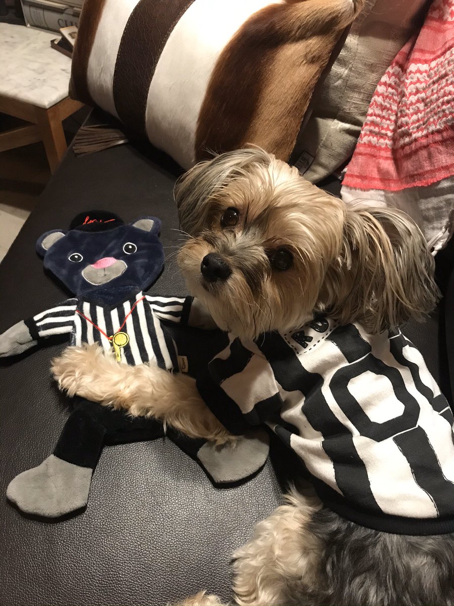 Susan Kuilder tweet media