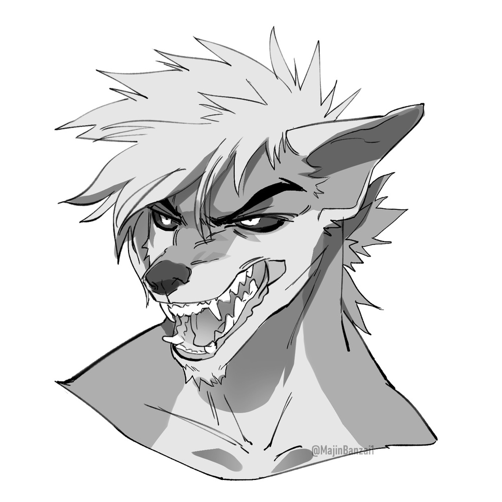 MercFurball's tweet image. Wolfe looked a both images to compare.

".......ok maybe and I say maybe but......I can see kinda resemblance."