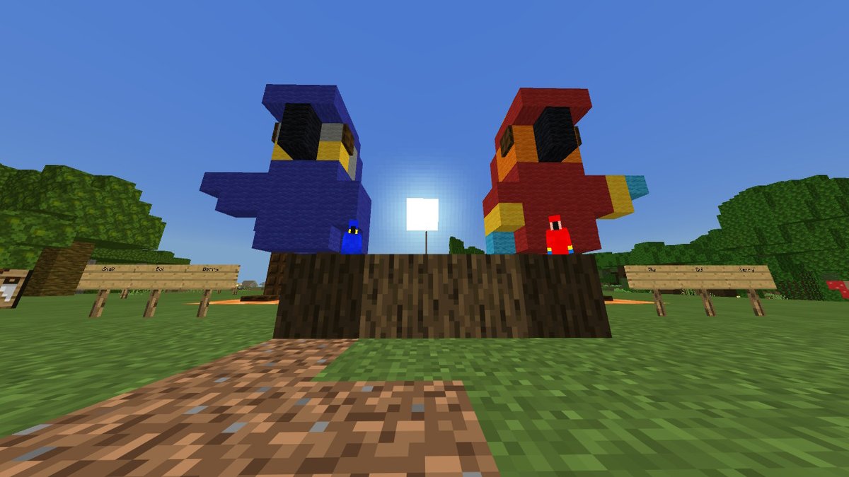 Toxic_Faith_'s tweet photo. Thank You @yawnypoo for building the birdys!!!! everyone say hi to Terry & Berry !!! #Minecraft #NintendoSwitch #minecraftpet https://t.co/1jMBwtoXJk