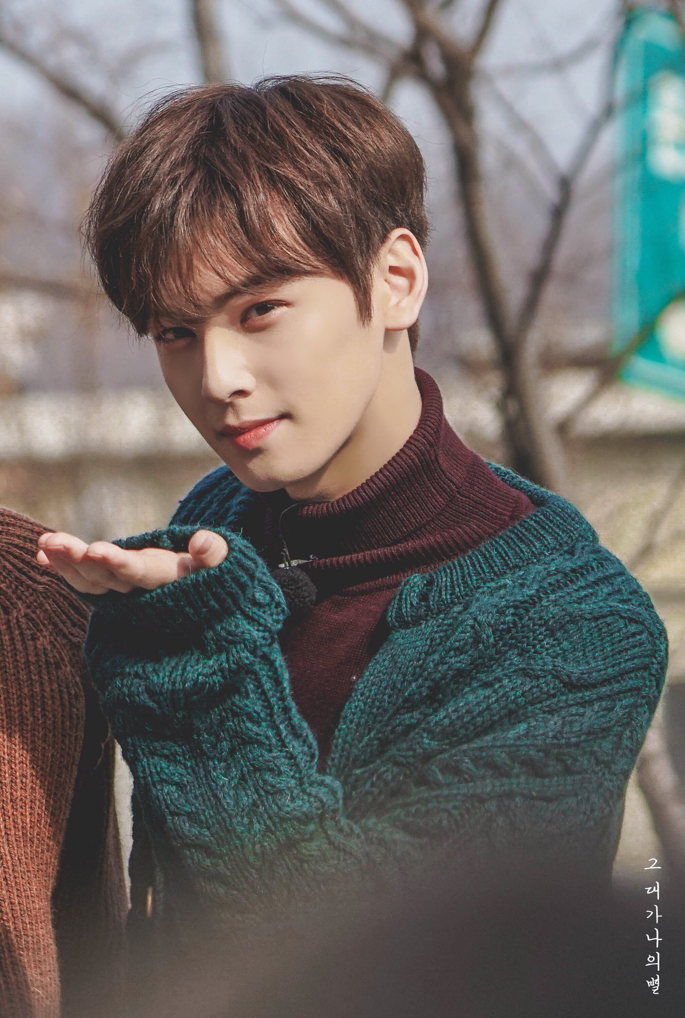 Cha Eunwoo