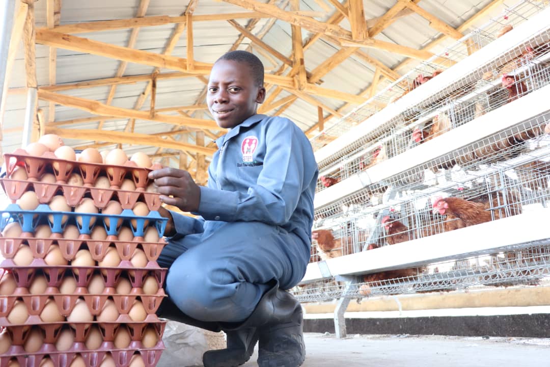 step_iita's tweet photo. "Agriculture is the most healthful, most useful and most noble employment of man." --George Washington 

#StartThemEarlyProgram 
#agriculture 
#LivestockProduction

@IITA_CGIAR @NteranyaS @IITAYOUTHAGRIP @STEP_Kenya https://t.co/VtiEc4HGQx