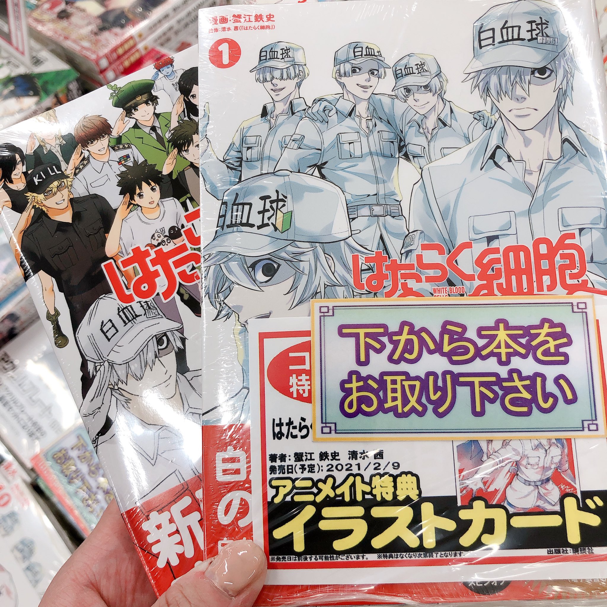アニメイト天王寺 書籍新刊情報 はたらく細胞 6巻 はたらく細胞white 1巻 本日入荷しました Whiteには特典イラストカードがついてきます 入口側新刊台に展開中です はたらく細胞 はたらく細胞white T Co Arqzwsgpj3 アニメイト天王寺 書籍新刊情報 はたらく細胞 6巻 はたらく細胞white 1巻 本日入荷しました Whiteには特典イラストカードがついてきます 入口側新刊台に展開中です はたらく細胞 はたらく細胞white T Co Arqzwsgpj3