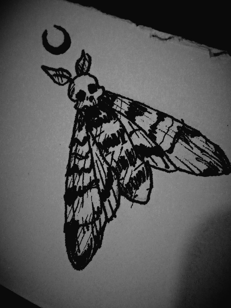 Eddie_666ms's tweet photo. #artetradicional #polilla #wicca #pentaculo #luna https://t.co/V2Klgix4Hs
