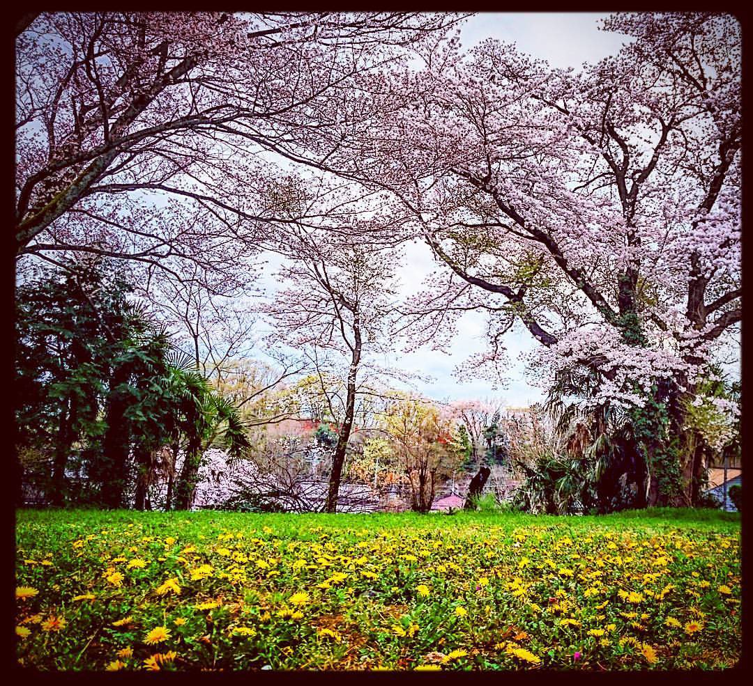 かっち 癒しの風景 Kacchi0212 Twitter かっち 癒しの風景 Kacchi0212 Twitter